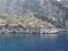 Boat trip view